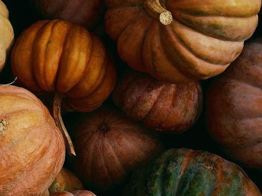 Octobre : quels sont les bons gestes wellness pour un automne en douceur ? 🍂🐿️
