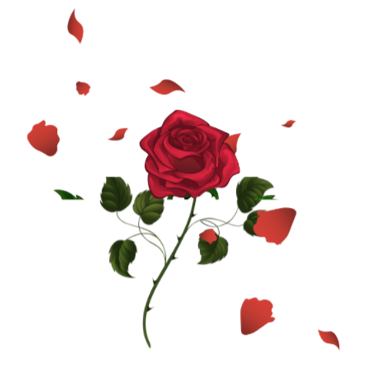 ideas basicos 15 años_edited.png