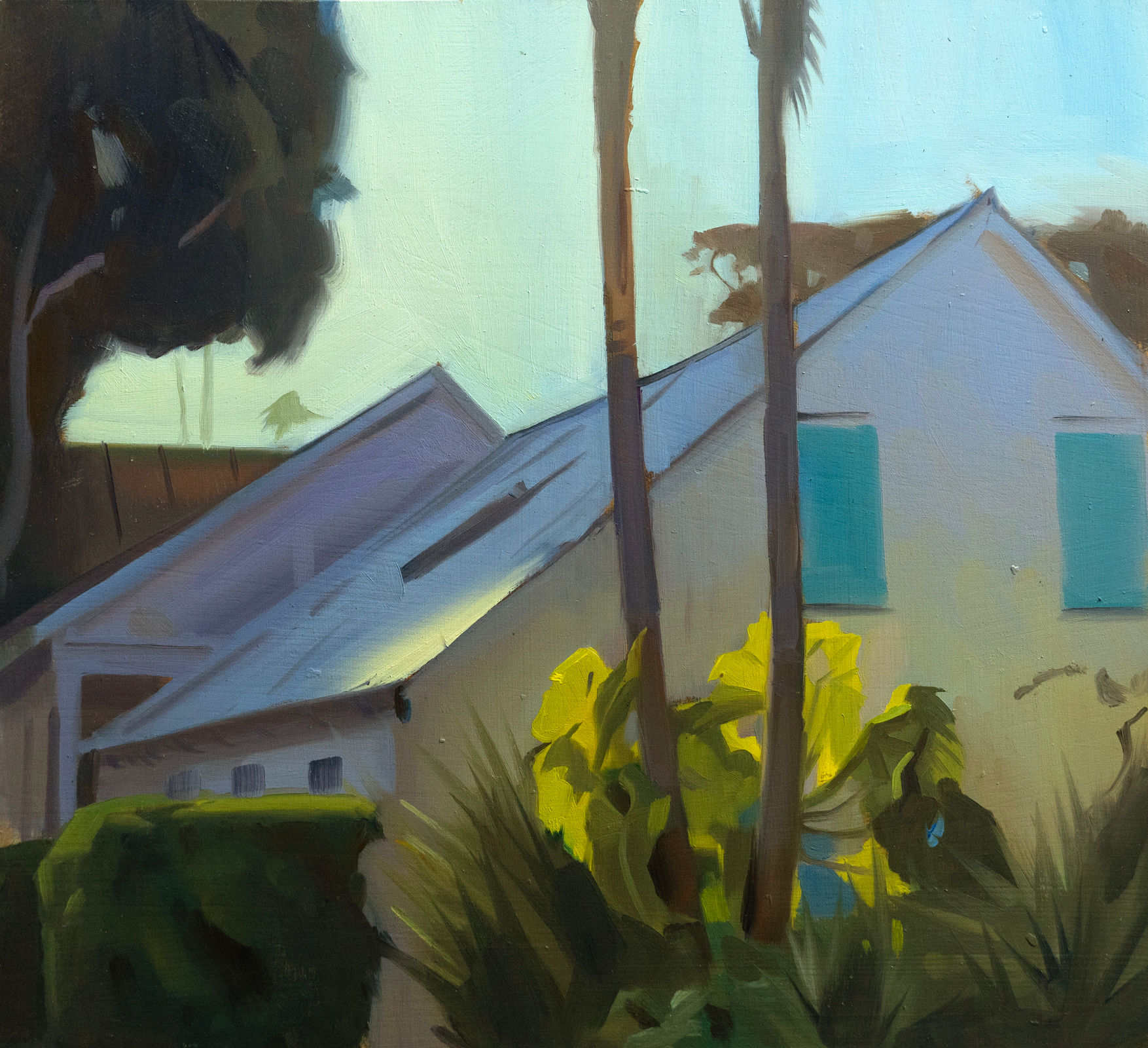 Back Lit Houses on Elizabeth St