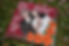 DSC_0693.jpeg