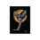 Thumbnail: halo of gold fine art print