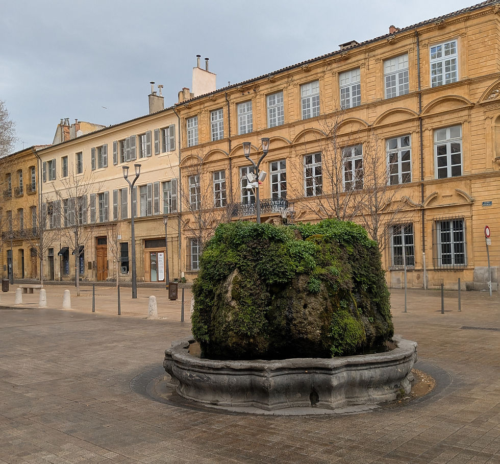A large moss-covered boulder fountain on a pool just larger than the base of the boulder. There is a row of French buildings in the background and an empty pedestrian street.