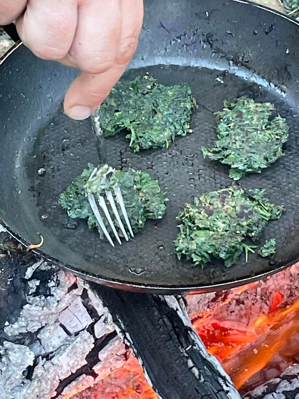 Atelier cuisiner sauvage en nature - Céret