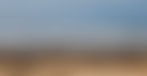 Baring Witness to Coastal Ecologies: An Artistic Exploration