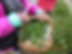 278746586_527664902138482_6033869858396667012_n.jpg