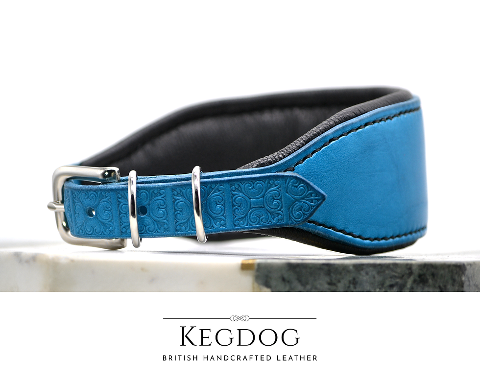 Wide Padded Leather Collar