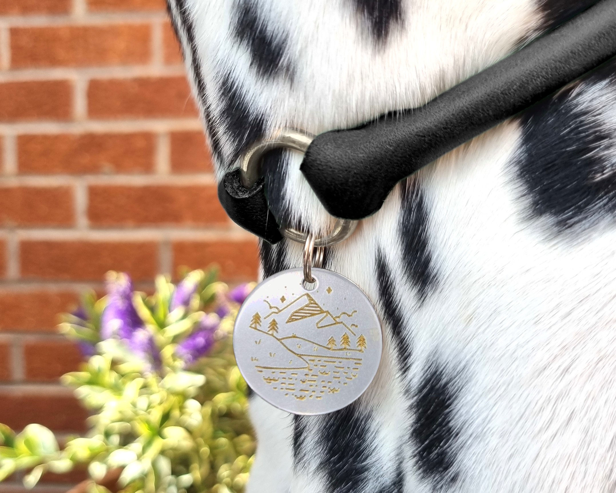 Mountain - Classic Dog Tag