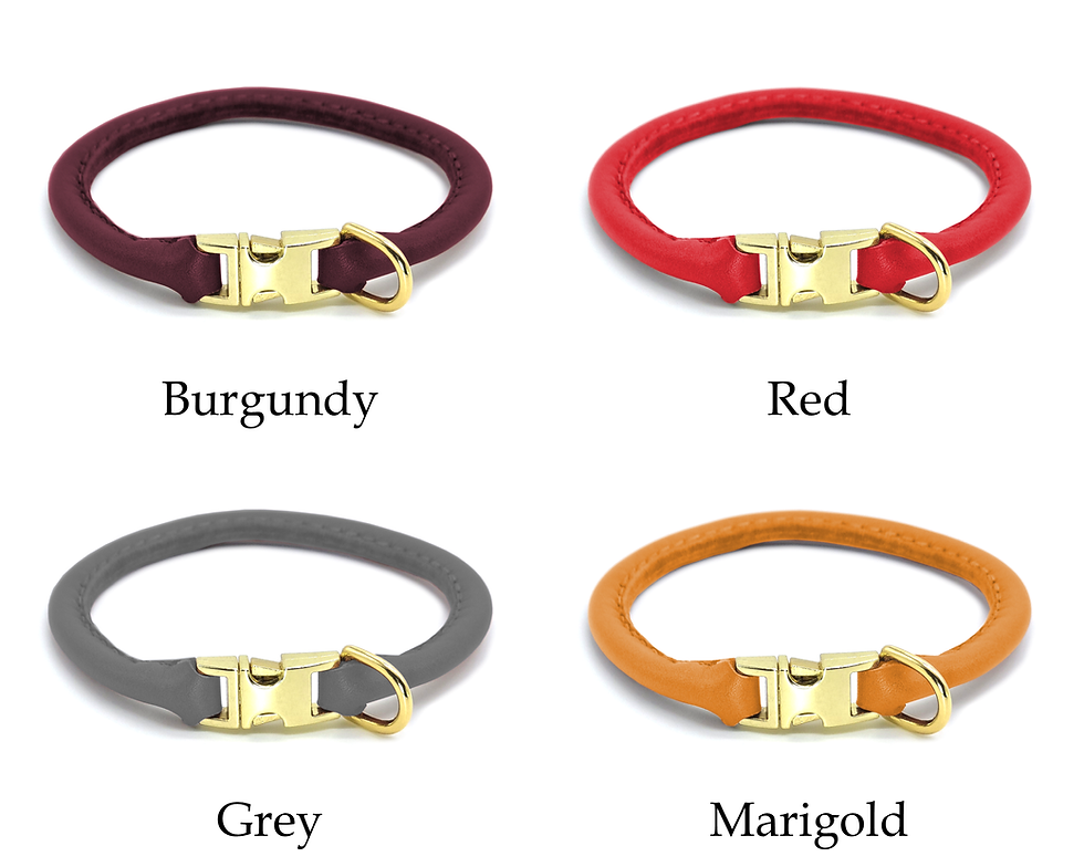 Thumbnail: Quick Release Rolled Leather House Collar Colour selection image