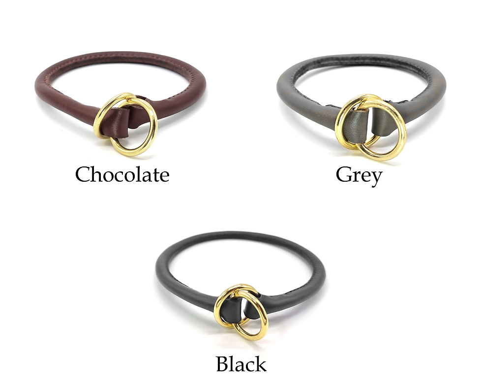 Thumbnail: Rolled Leather Slip Collar