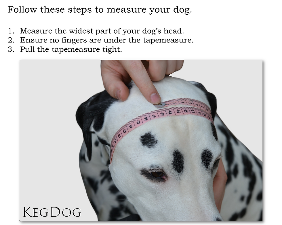 Thumbnail: how to measure your dog's head size