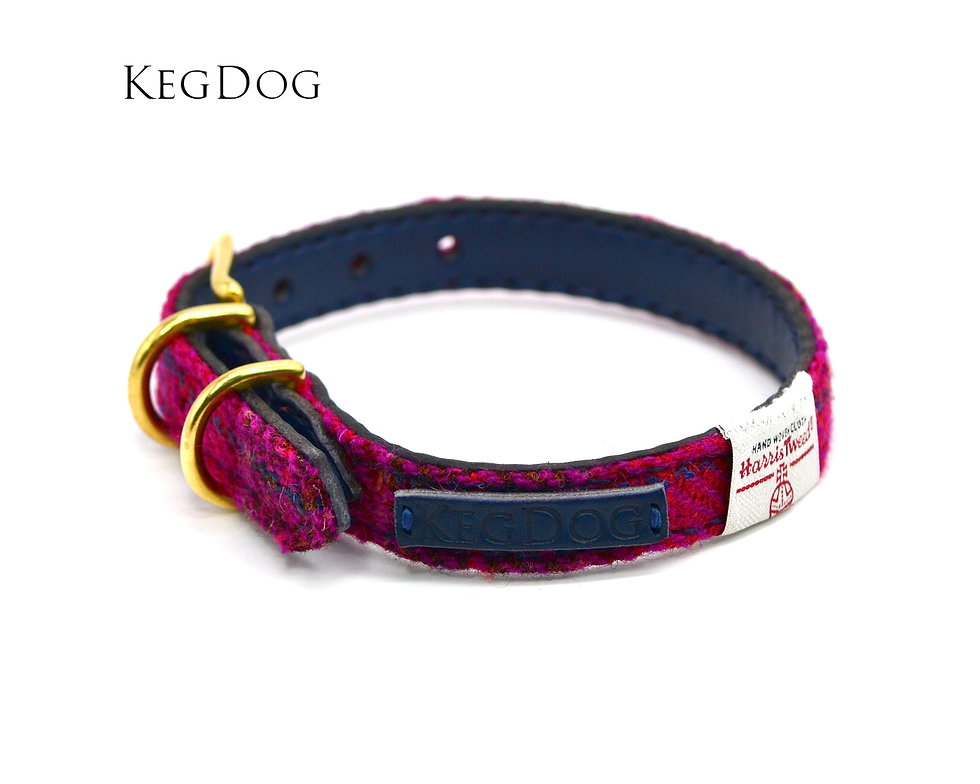 Thumbnail: side view of Cherry Red harris tweed dog collar with strong navy leather interior and brass hardware
