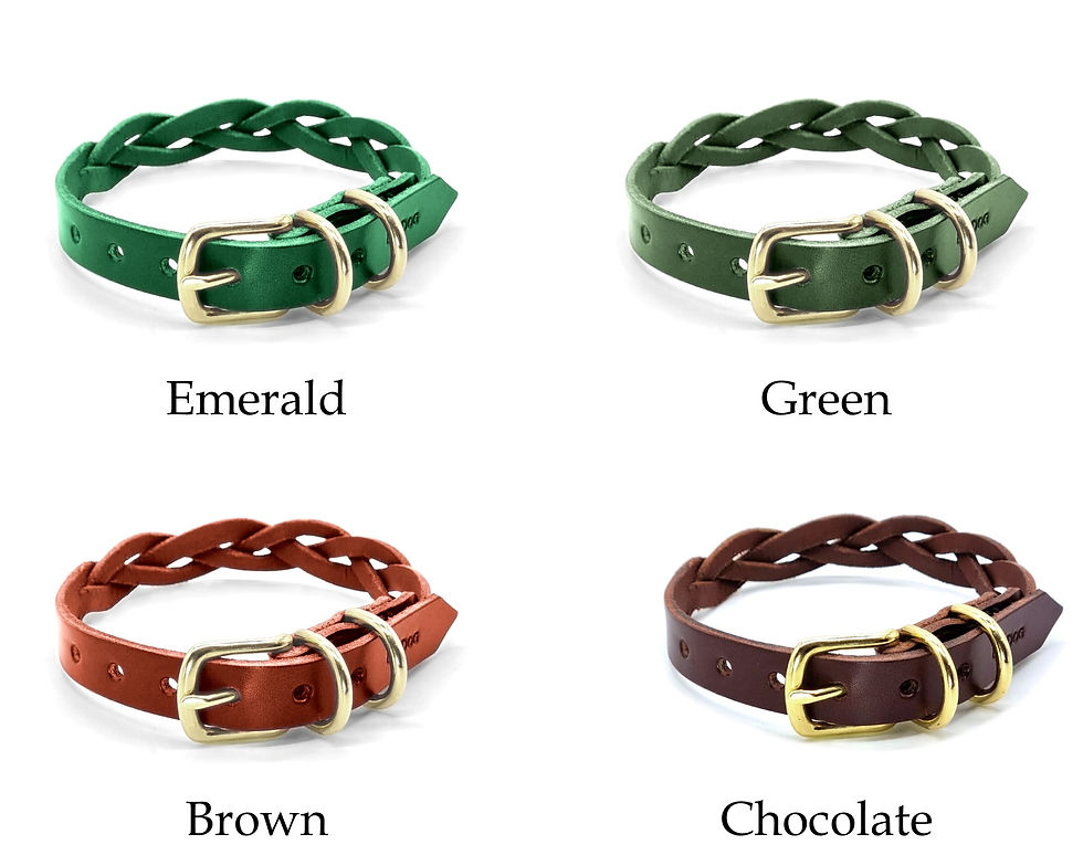Thumbnail: Braided Leather Buckle Collar