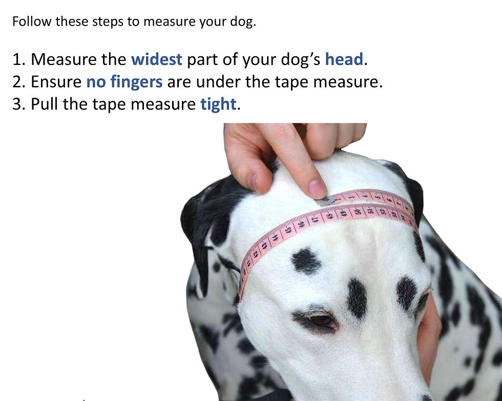 Thumbnail: Small Breed Rolled Leather Slip Collar