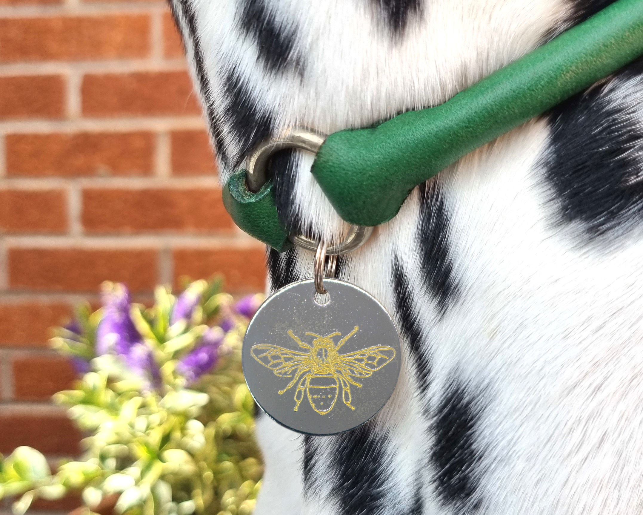 Honey Bee Dog Tag