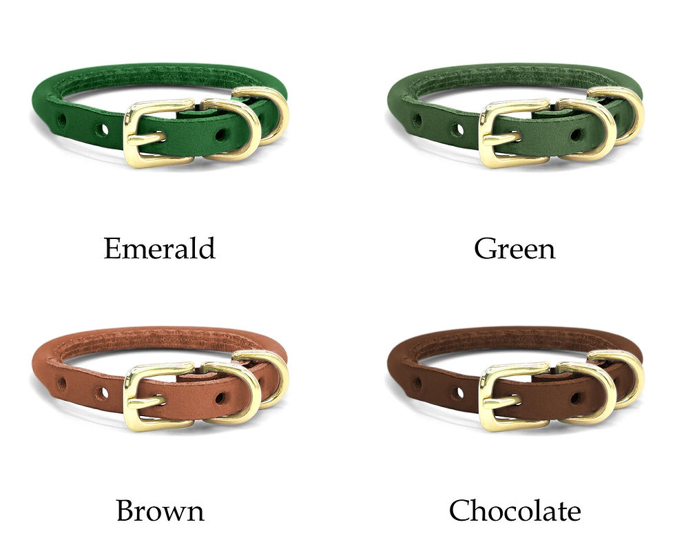 Thumbnail: Small Breed & Puppy - Thin Rolled Leather Buckle Collar