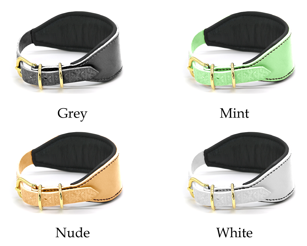 Thumbnail: Padded Black Leather Hound Collar with Tooled Strap