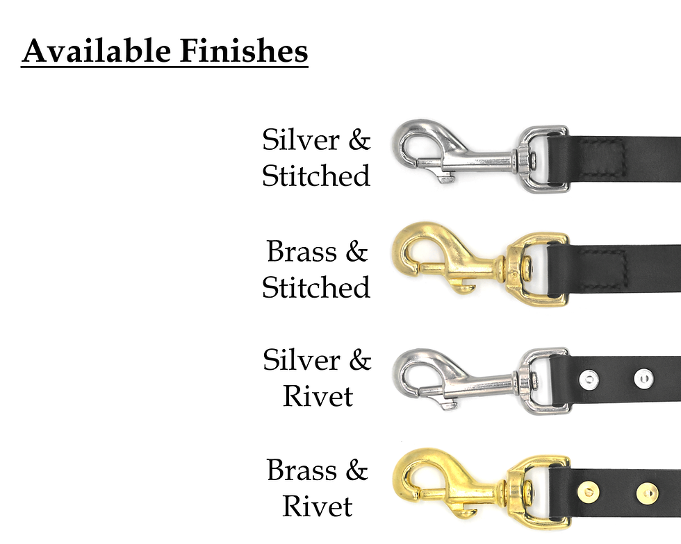 Thumbnail: Leather Training Lead