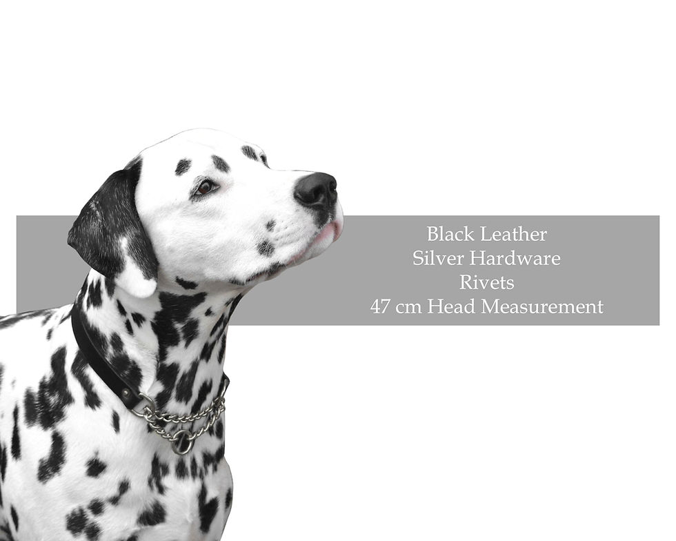 Thumbnail: Leather Martingale Collar