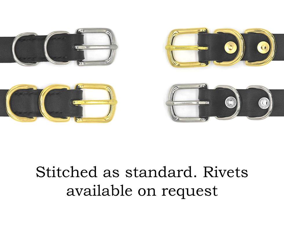 Thumbnail: finish options for Leather buckle collar with centre o ring