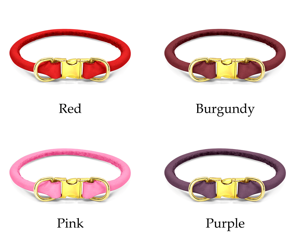 Thumbnail: Colour Options for Rolled Leather Quick Release Dog Collar