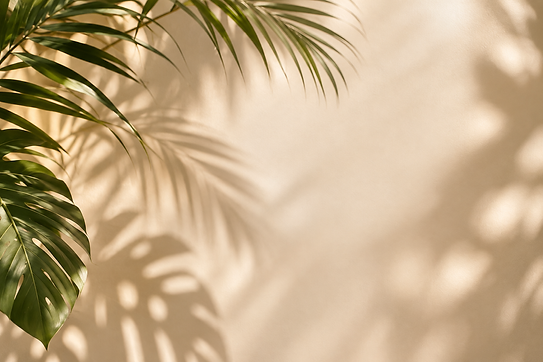 Sombras Tropicales sobre Fondo Beige.png