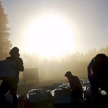 Why don’t tree planting companies conduct criminal record checks for potential employees.