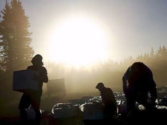  Why don’t tree planting companies conduct criminal record checks for potential employees.