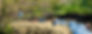 Image-empty-state.png