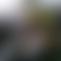 Climate Change & Precarious Employment