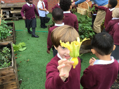 May 2023 Good Food Lewisham Newsletter: Young People & Food, Volunteers' Week, Summer Festivals