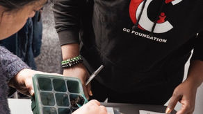 Roots to Resilience: CC Foundation