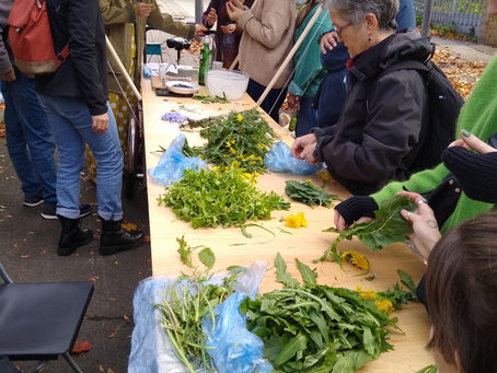 Funding available for Food Growing, Foraging & Cooking Activities this summer