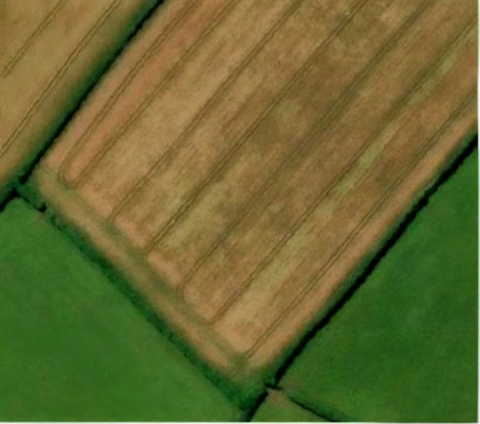 Hayfield2_edited.jpg