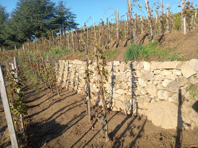 mur en pierre sèche Ardèche
