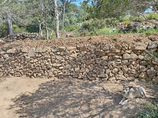 mur en pierre sèche