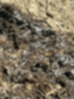 Thumbnail: imo plant based aged static Compost.