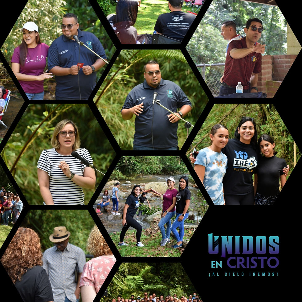 Actividades de APO