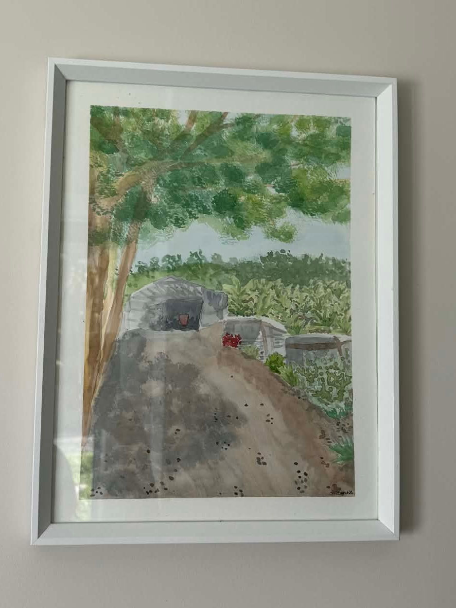 Viewpoint looking up along a driveway towards a shed with bananas and mountains in the background.