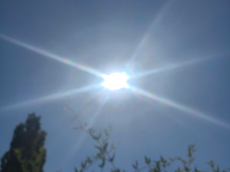 9.9.9 Portal of Release and Harvest - what are you releasing and harvesting?