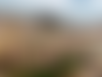 A Food-Allergy-Friendly Getaway to the Helsinki Archipelago: 4 Days of Nature, Music, and Good Food