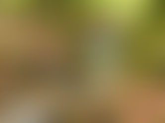 Autumn in Spa & the Liège Region: Nature, Tradition, and Allergy-Friendly Tastes