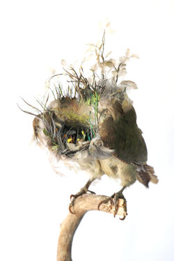 Serie_Paysages Volatiles - La_Grotte-201