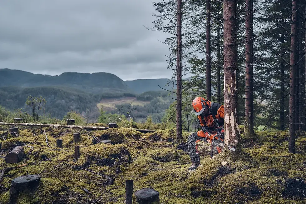 Miniaturbild: HUSQVARNA Kettensäge 540 XP Mark III