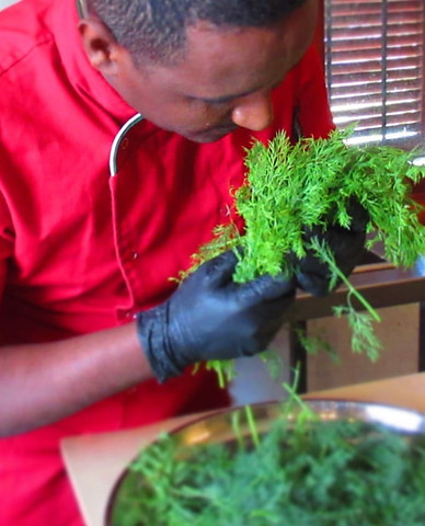 52980450_388144801980812_516389651779420