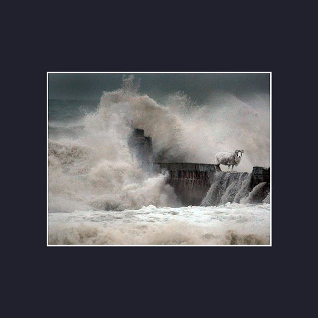 This print is up for auction tomorrow fr