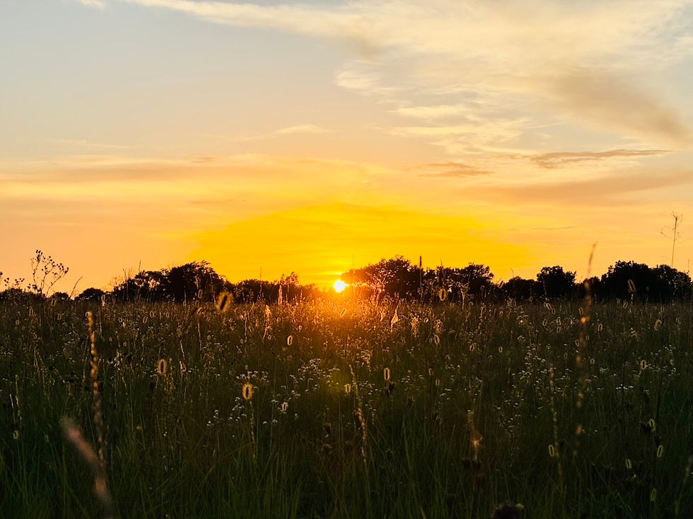F0B29780-C7D0-4E26-807F-09DE837DB136_1_105_c.jpeg