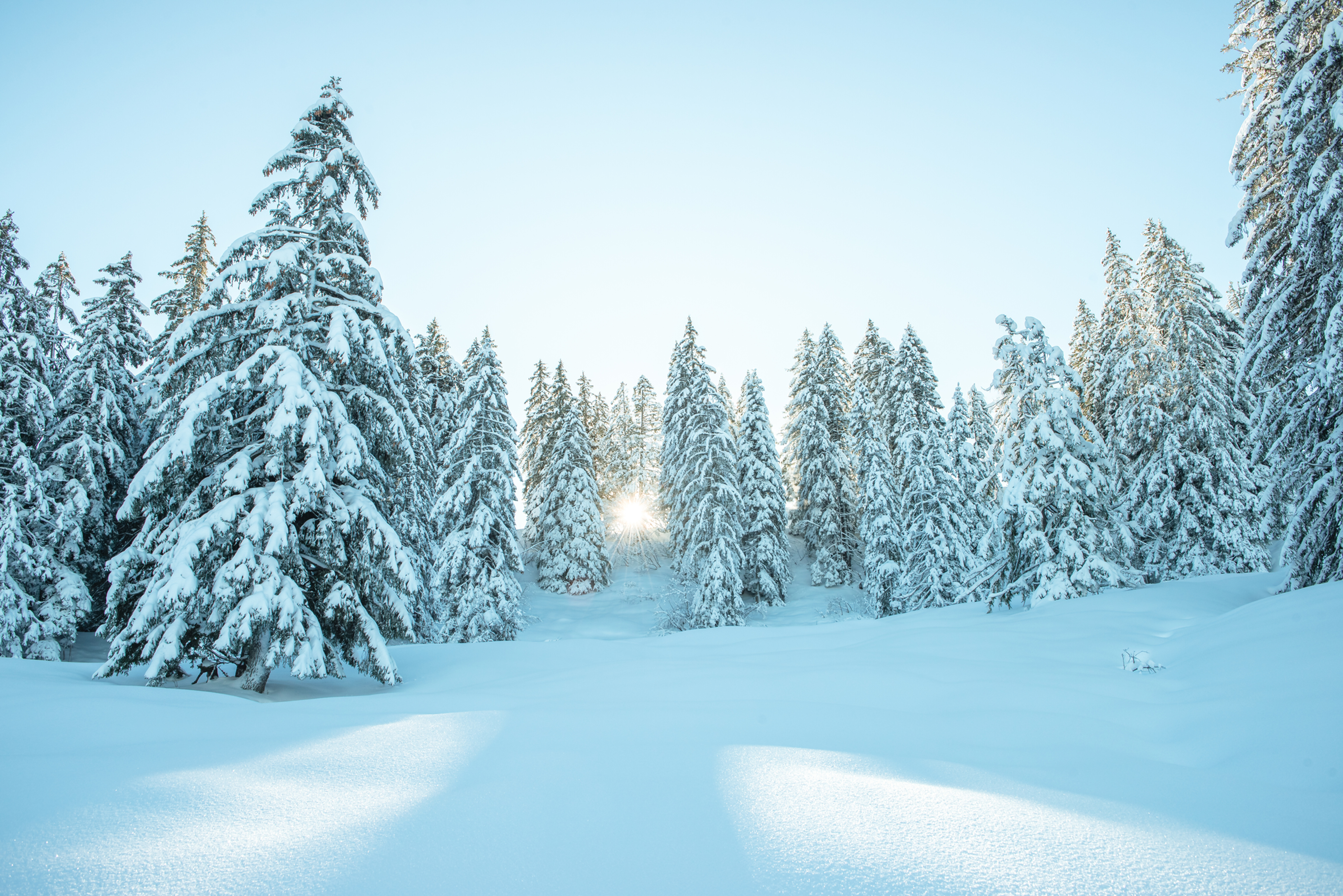 Faltkarte Wintersonne