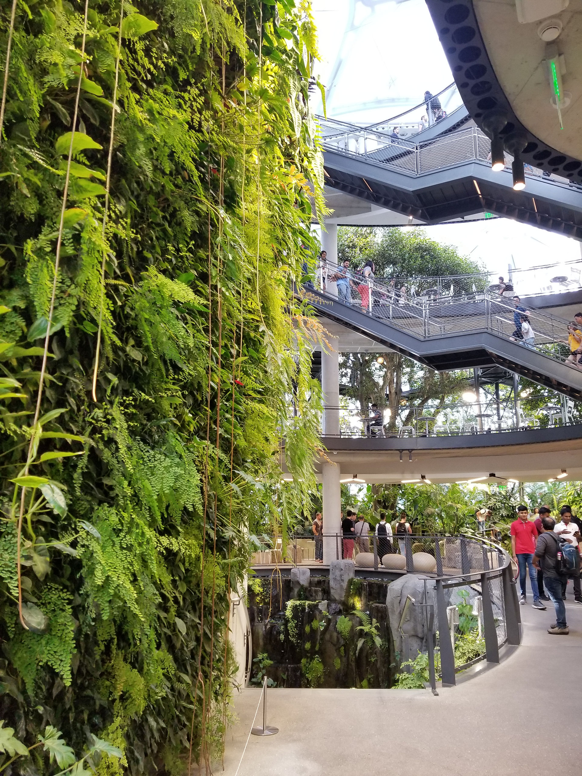 Inside the Amazon Spheres