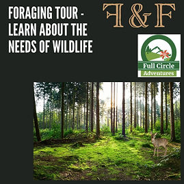 FORAGE AND FARM WILDLIFE.jpeg