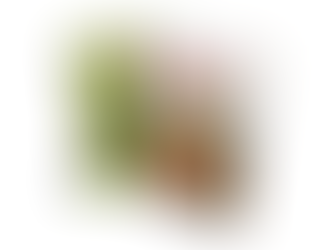 Feast of the Seven Fishes Dish 6: Shrimp-Stuffed Portobello Mushrooms